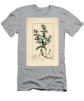 Water Germandree Water Germander Teucrium Scordium Showing Flower Leaf Stalk and Roots Pierre Jean Francois Turpin T-Shirt