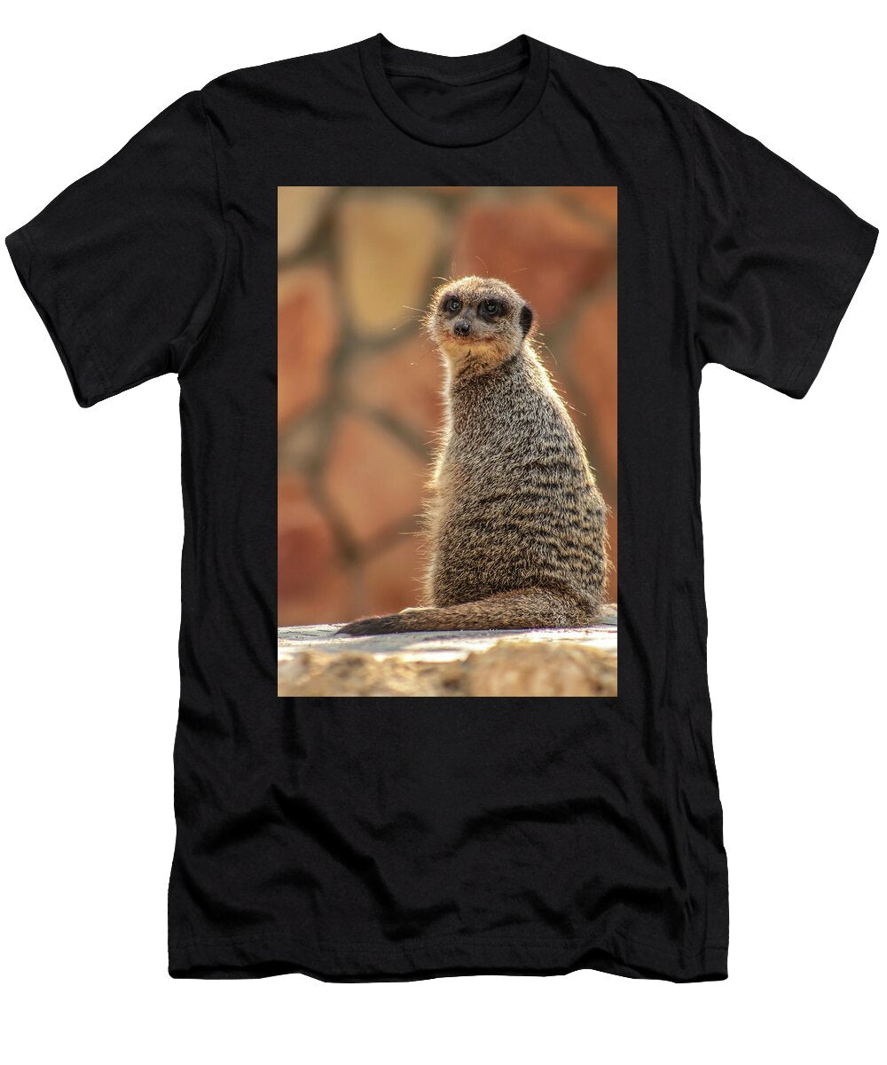 When You Find the Perfect Spot to Soak Up the Sun Barb Gabay T-Shirt