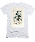 White Birch or Warty Birch Silver Birch Tree Betula Pendula with Leaf Catkin and Seed European School T-Shirt