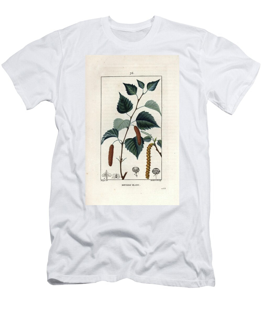 White Birch or Warty Birch Silver Birch Tree Betula Pendula with Leaf Catkin and Seed European School T-Shirt