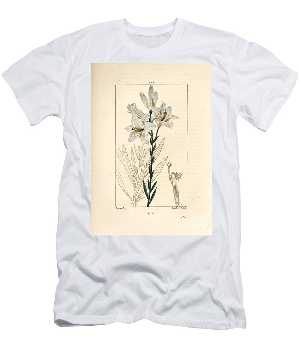 White Lily or Madonna Lily White Lily Lilium Candidum Pierre Jean Francois Turpin T-Shirt