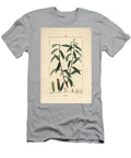 White or Silver Willow White Wicker White Willow Tree Salix Alba with Leaf Flower Male and Female Catkins Fruit and Seed Pierre Jean Francois Turpin T-Shirt
