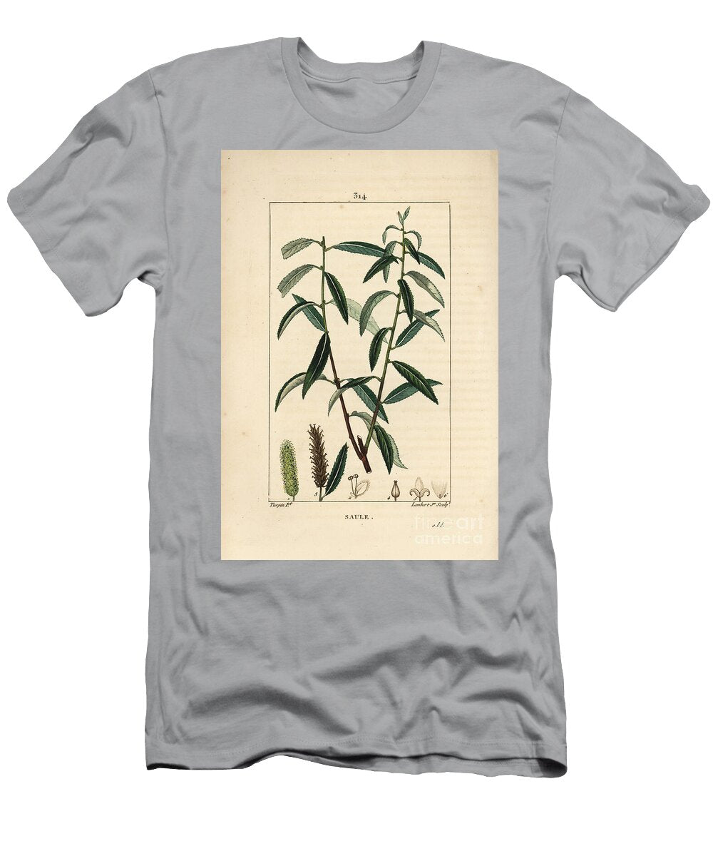 White or Silver Willow White Wicker White Willow Tree Salix Alba with Leaf Flower Male and Female Catkins Fruit and Seed Pierre Jean Francois Turpin T-Shirt