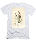 Wild Rhubarb Rhapontic or False Rhubarb Rheum Rhapontium with Flower Stalk Seed and Leaf Outline Pierre Jean Francois Turpin T-Shirt