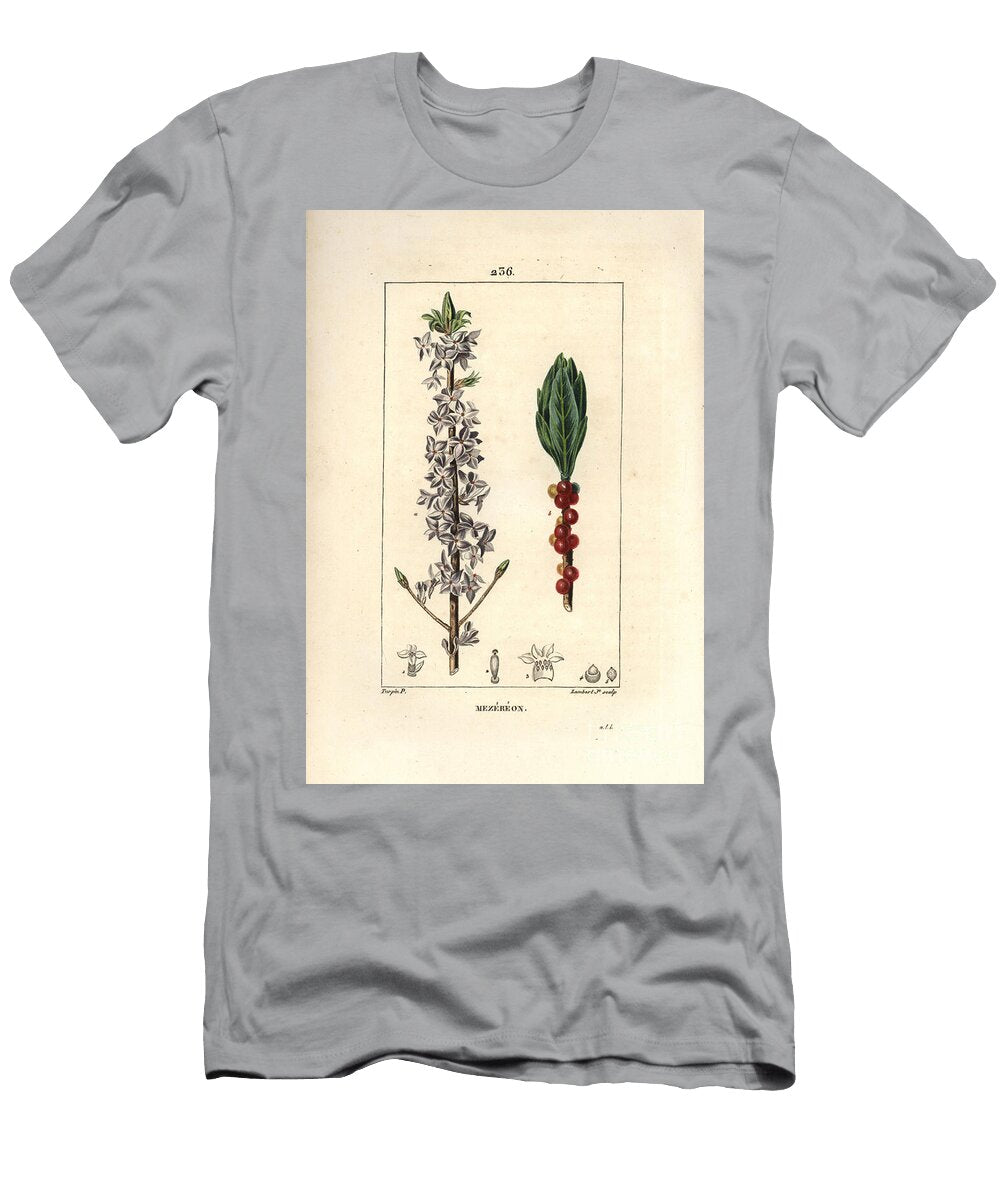 Wood Pretty Pretty Green Green Wood Daphne Nice Wood Mezereon Daphne Mezereum Pierre Jean Francois Turpin T-Shirt