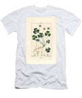 Wood Sorrel Oxalide Oxalis Des Bois Wood Sorrel Oxalis Acetosella with Flower Leaf Stalk Seed and Root Pierre Jean Francois Turpin T-Shirt