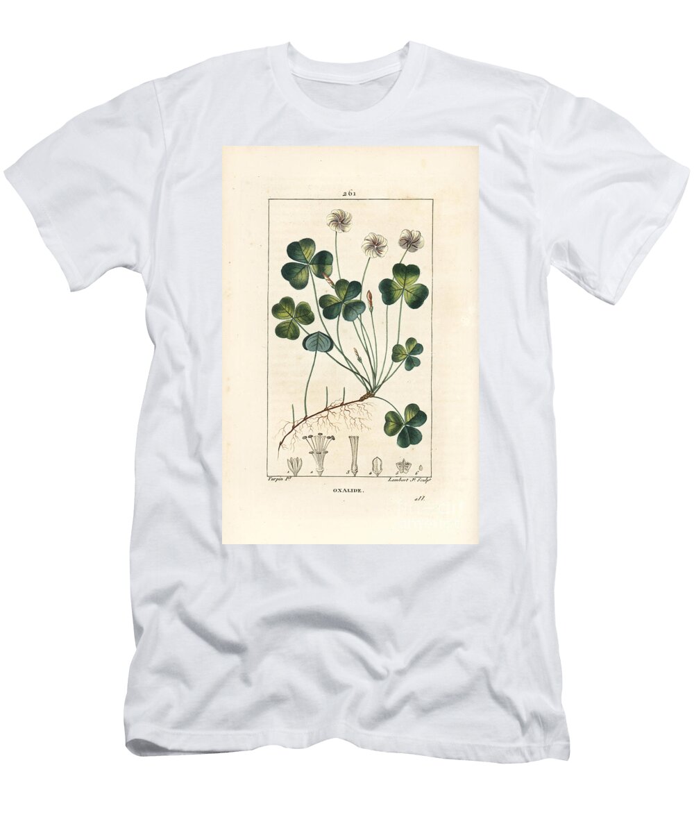 Wood Sorrel Oxalide Oxalis Des Bois Wood Sorrel Oxalis Acetosella with Flower Leaf Stalk Seed and Root Pierre Jean Francois Turpin T-Shirt