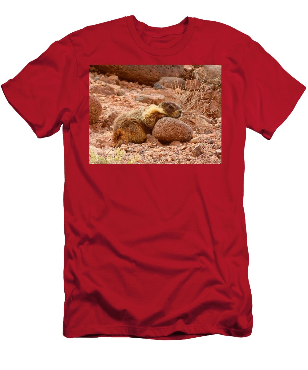 Yellow Bellied Marmot Capitol Reef Utah Deborah Moen T-Shirt
