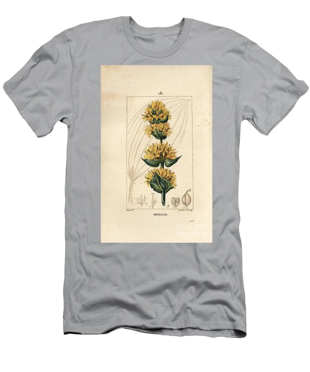 Yellow Gentian or Great Gentian Gentian Gentiana Lutea Pierre Jean Francois Turpin T-Shirt