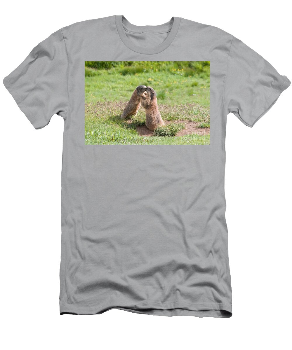 Young Marmots Antonio Scarpi T-Shirt